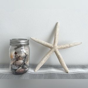 REAL STARFISH AND HAND PICKED SEASHELLS!
